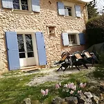 Cabanon Authentique, Moustiers, Ruisseau Et Jardin